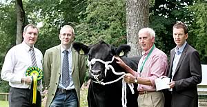 2011 Growvite All-Ireland Aberdeen Angus Championships