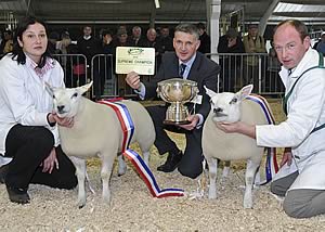 butchers lambs