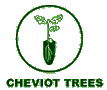 Cheviot Trees