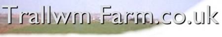Trallwm Farm is mostly a sanctuary for horses at risk although we will take in ANY animal at risk including farm livestock, dogs, cats and even ducks and chickens!