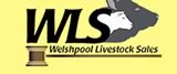 Welshpool Livestock Sales