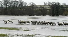 River Eamont near Ullswater
