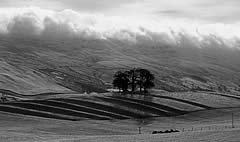 Kirkby Stephen, Cumbria