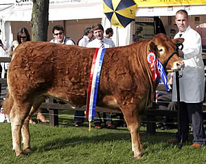 The Champion, Carmorn Voney, with owner and exhibitor, Peter Smyth.