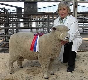 Champion White Ryeland shown by Margaret Hipps of Harrogate.