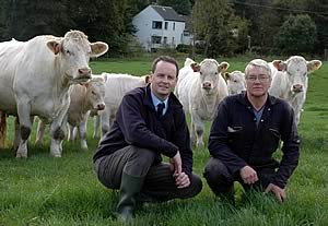 SAC’s Gavin Hill and SAC Bush’s stockman Ken Oman among the pure commercial Charolais herd