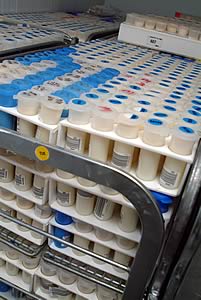 milk samples arriving at the NML Laboratory, Wolverhampton