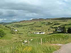 scottish crofting