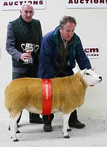 David Houghton with his Skipton Texel supreme champion.