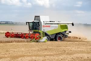 Lexion 580+