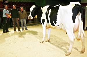 Craven Dairy Auction September champion