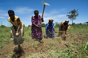 ugandan field workers