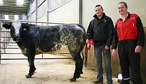 The November prime beef champion is pictured at Skipton, with exhibitor Paul Baines, left, joined by sponsor Graham Guy.