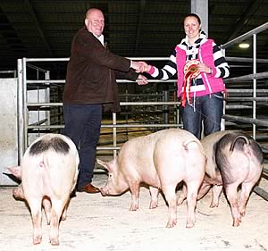 Skipton Christmas champion pigs