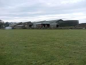 Westfield Steading