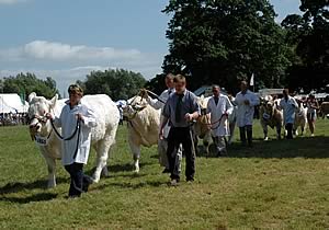 The Cumberland Show 