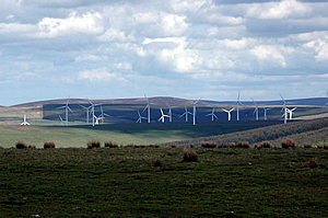 Wind farm