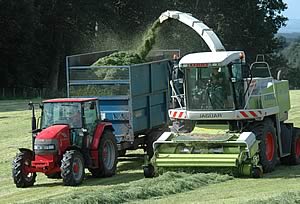 silage making
