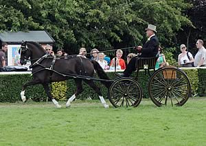 A private driving exhibitor at the Great Yorkshire Show 2009