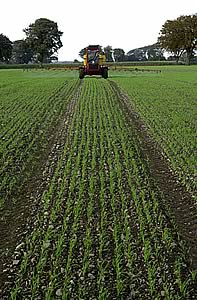 crop spraying