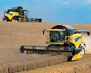 Wheat harvest