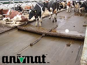 Animat Rubber Dairy Flooring