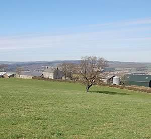 Byermoor Farm 