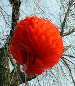 Chinese lantern