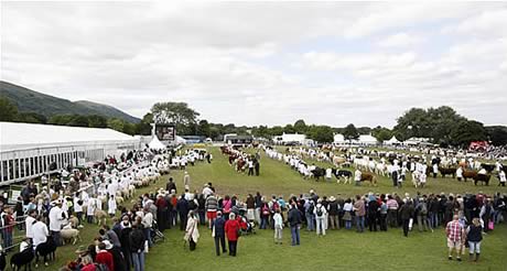 Three Counties Show