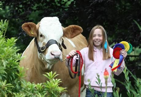 Cara Moore from Beragh, County Tyrone, is all set for the NI Simmental Club's 40th Anniversary show and sale of elite heifers.