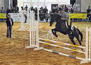 Graham and Tina Fletcher running their Master class at Countryside Live 2009