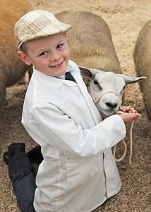 young sheep handler