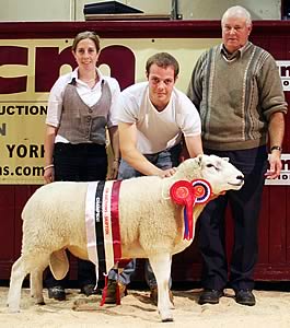 Bev and Terry Fort with their Skipton Lleyn champion, joined by judge David Vickerton.