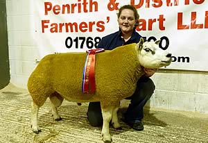 Artnagullion Phoenix