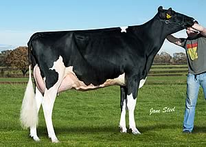 Glasson Goldwyn JD Glora VG88