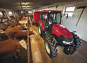 Farmall 115A tractor