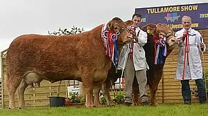 Lisglass Clover 2nd