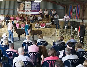 Alpaca sale