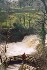 Aysgarth Falls