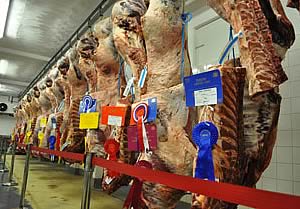 beef carcases