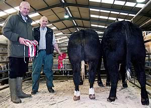 Skipton prime beef champion