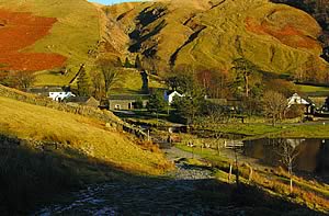 Edgehill Farm