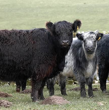 Business training scheme will bring new skills and business knowledge to rural areas