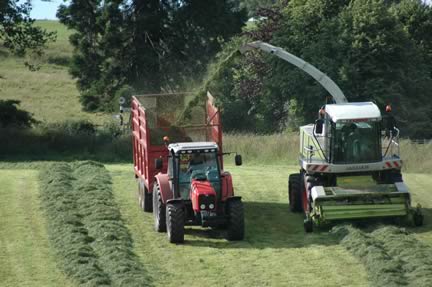 Silage Making
