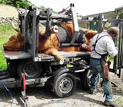 Robert Bradley - Yorkshire Foot Trimmers