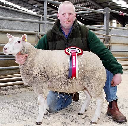 Skipton Easter prime lamb champion