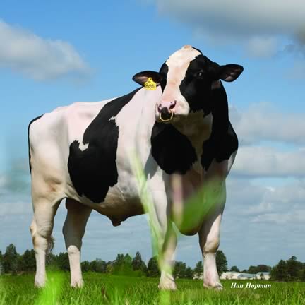 Ensenada Taboo Planet