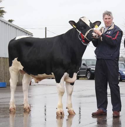 Relough Mark shown by Malcolm McLean, Donaghmore