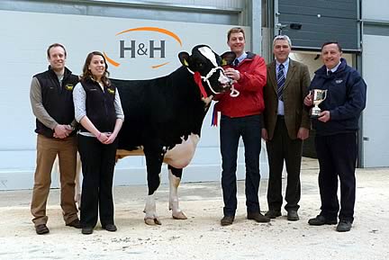 Sponsors Coomara (Pete & Charlotte Denston) "Townlaw Lustful" Mr Robert Sloan, Judge Mr David Tomlinson of Bilsrow Herd and Mr Bryce Sloan