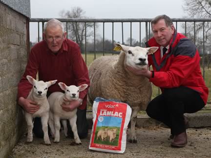 Ian Millar, left, Milcomb Pedigree Texels, Ballyclare with Alistair Sampson of Volac and twin ram lambs sired by Westray Talisman out of this smart home bred ewe, a daughter of the Aberdeenshire tup Clintery Las Vegas.